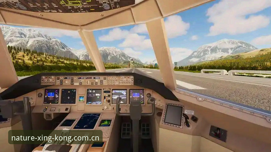 2026XINGKONG新版安装教程 2026XINGKONG新版安装教程:从旧版升级到自然原力视野v4.0的操作指南