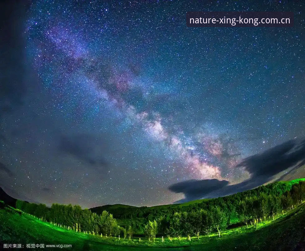 星空体育官网：自然原力视野2026更新日志最新动态，v4.0修复与新兼容方案深度解读